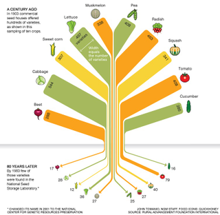 Illustration for article titled Monsanto Wins, Farmers and The World Lose